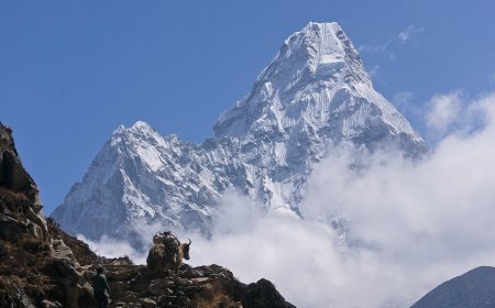 Solo Women Travelling in Nepal: What We Can Verify Right Now (October 2026)