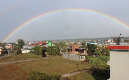 How to Find and Verify a Chitwan Postal Code: A Lookup Method for Bharatpur, Ratnanagar and Other Chitwan Post Offices