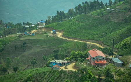 Ilam Travel Guide 2026: Kathmandu to Ilam via Birtamod and the Mechi Highway