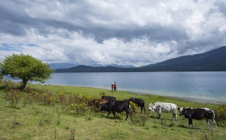 Rara Lake and Mugu (2026): Corridors to Verify via Nepalgunj, Talcha and Jumla, and the Seasons to Plan Around