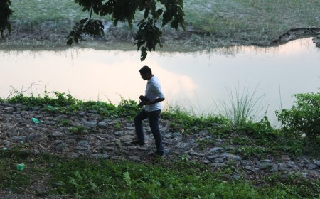 Sunsari District Travel Guide: Koshi Tappu, Barahakshetra, Chatara & Itahari