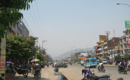 Chitwan Postal Codes: What to Write for Bharatpur, Ratnanagar and Sauraha