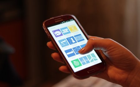 NEPSE IPO Allotment: How to Read Your MeroShare Result