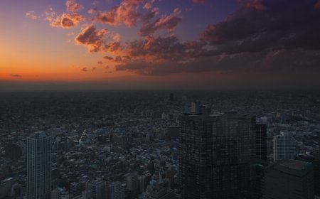 Japan Work Visa Routes for Nepali Workers: SSW, Engineer and Trainee Paths Compared