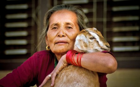 Crop and Livestock Insurance in Nepal: What Policies Cover and How to Claim