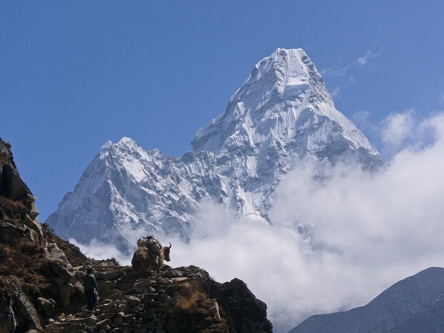 Solo Women Travelling in Nepal: What We Can Verify Right Now (October 2026)
