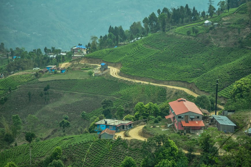 Ilam Travel Guide 2026: Kathmandu to Ilam via Birtamod and the Mechi Highway