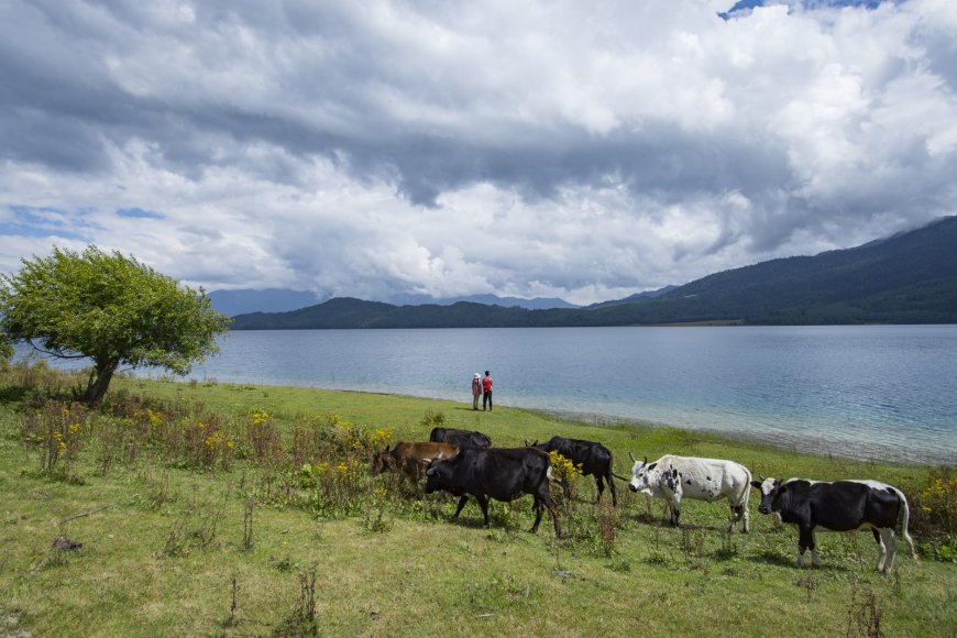 Rara Lake and Mugu (2026): Corridors to Verify via Nepalgunj, Talcha and Jumla, and the Seasons to Plan Around