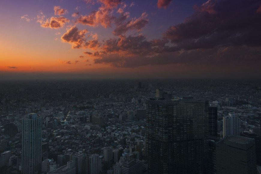 Japan Work Visa Routes for Nepali Workers: SSW, Engineer and Trainee Paths Compared
