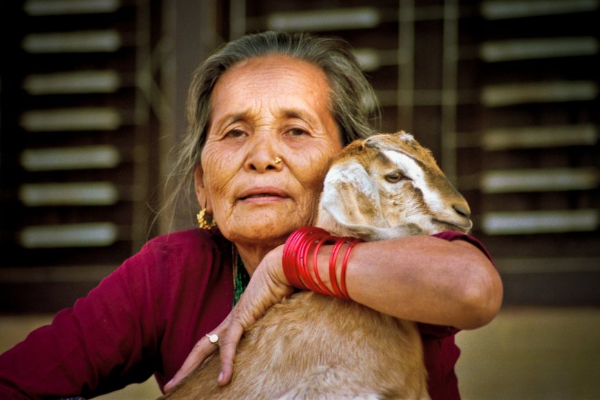 Crop and Livestock Insurance in Nepal: What Policies Cover and How to Claim